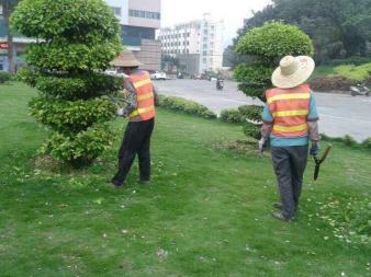 園林綠化施工、養護,草皮銷售及種植,園區、市政等改造工程