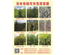 園林綠化施工就選河北園林綠化工程