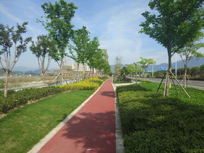 誠邦股份2019年度第一屆誠邦杯攝影大賽獲獎(jiǎng)作品展示