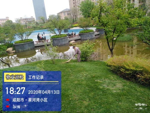 亮點(diǎn) 物業(yè)園林綠化整改提升小區(qū)環(huán)境品質(zhì)