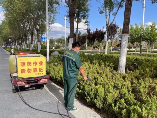 持續發力 筑牢園林綠化施工作業安全屏障