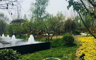 隆基泰和萬和郡動(dòng)態(tài) 工地施工快馬加鞭園林綠化貼心服務(wù) 深圳安居客