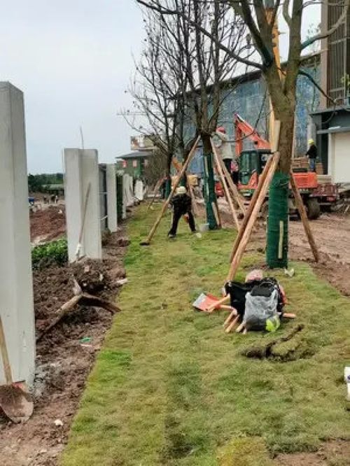 大爺89歲還為人民服務(wù),根本沒(méi)有假期 施工現(xiàn)場(chǎng)實(shí)拍 致敬平凡的你 施工現(xiàn)場(chǎng) 園林綠化工程