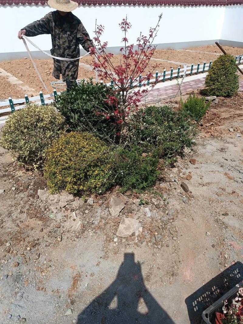 單位綠化施工現場管理與園林景觀工程實踐